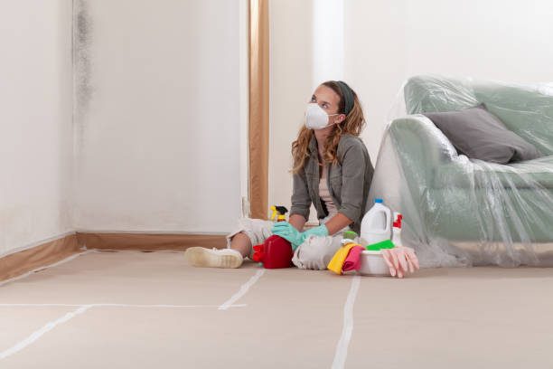 Mold Removal service in Darien